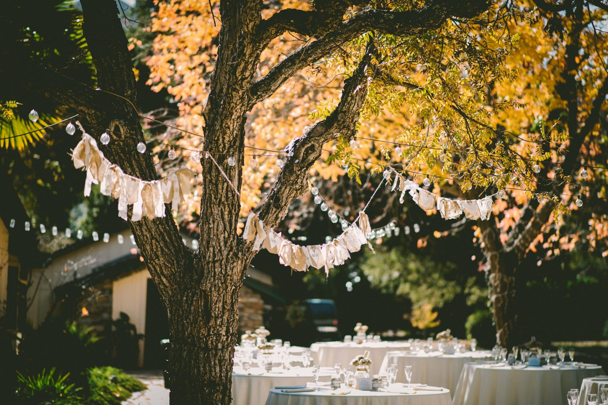 perfect venue